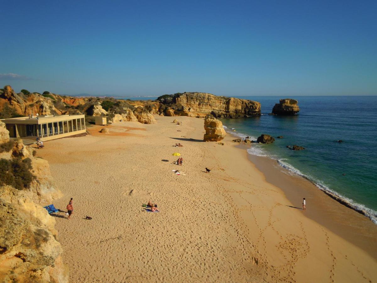 Tropicana One Bedroom Flat T1 In Albufeira Gale Close To 8 Beaches エクステリア 写真