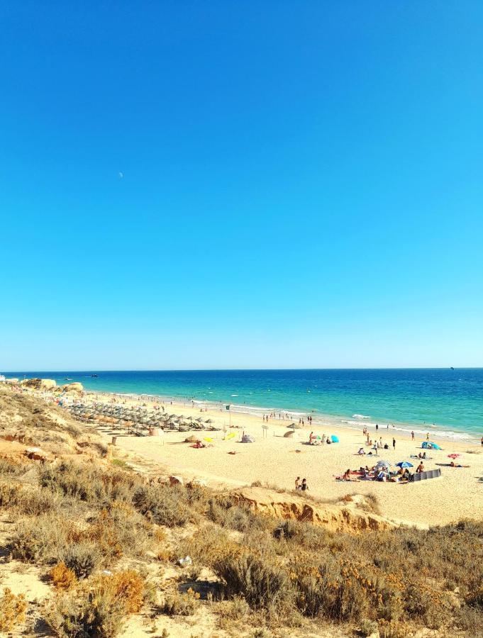 Tropicana One Bedroom Flat T1 In Albufeira Gale Close To 8 Beaches エクステリア 写真